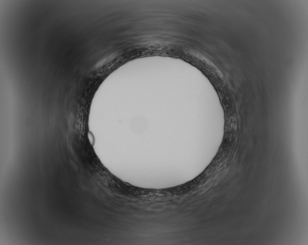 X0000086720869200705111553