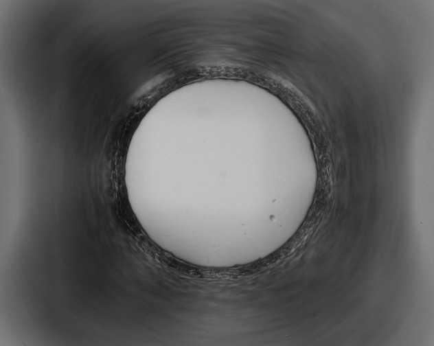 X0000086720870200705111553