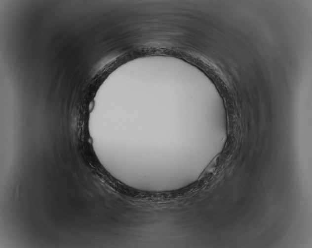 X0000086720872200705111553