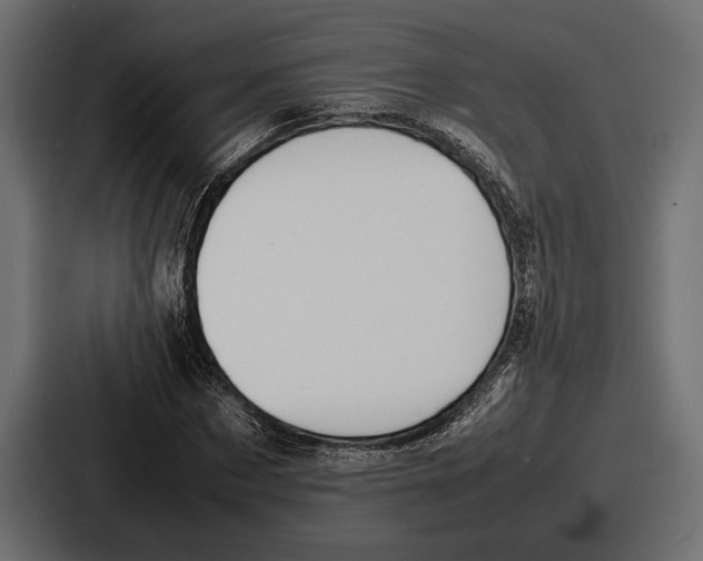 X0000086720873200705111553