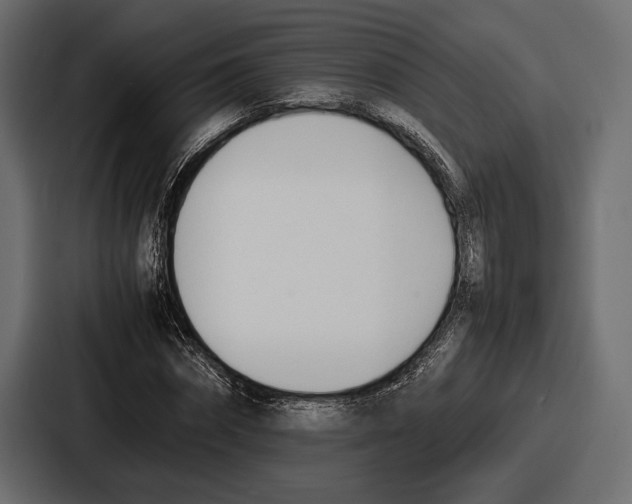 X0000086720874200705111553