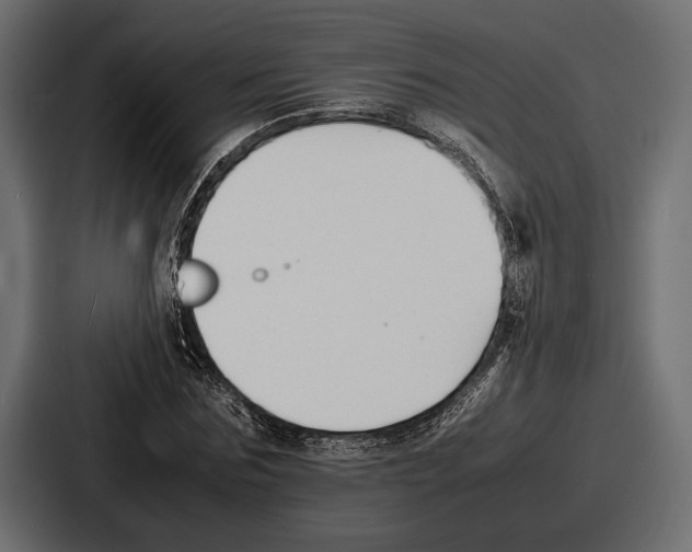 X0000086720875200705111553