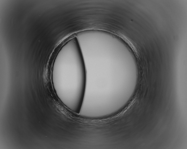 X0000086720876200705111553