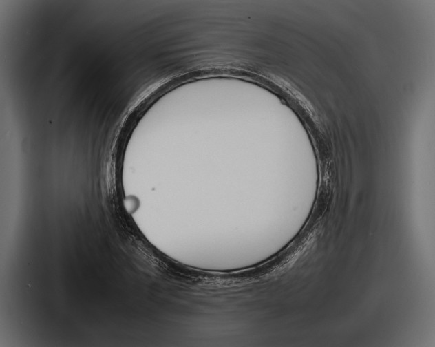 X0000086720877200705111553