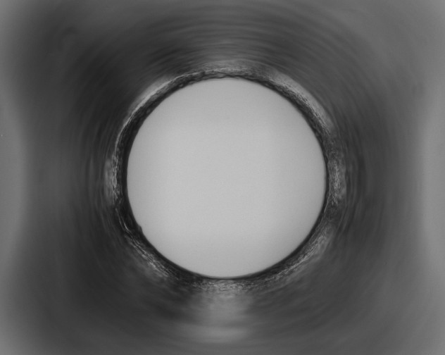 X0000086720878200705111553