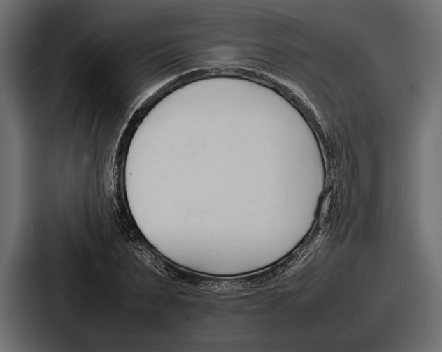 X0000086720879200705111553