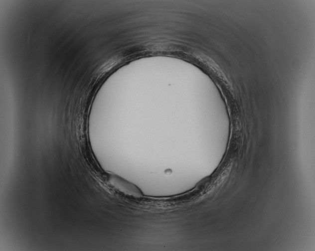 X0000086720881200705111553