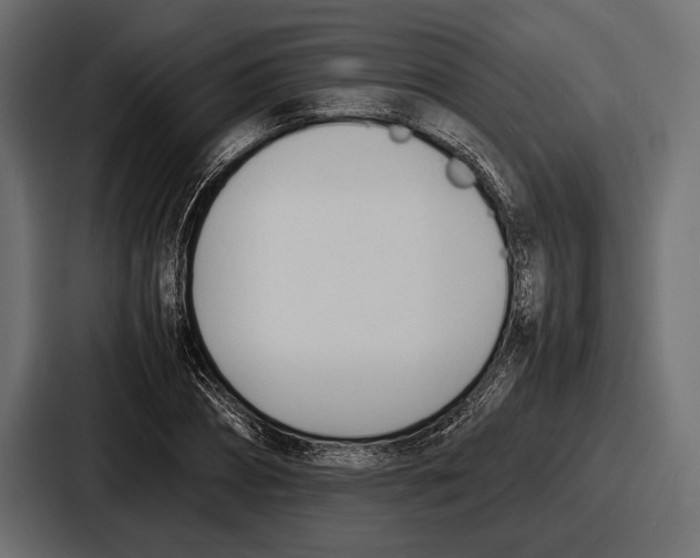 X0000086720882200705111553