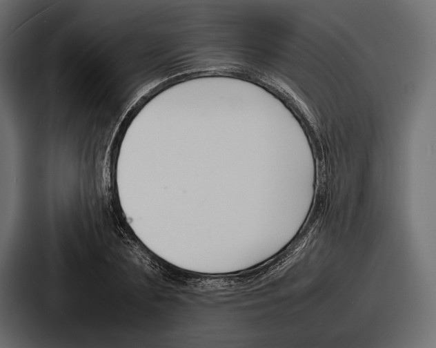 X0000086720883200705111553