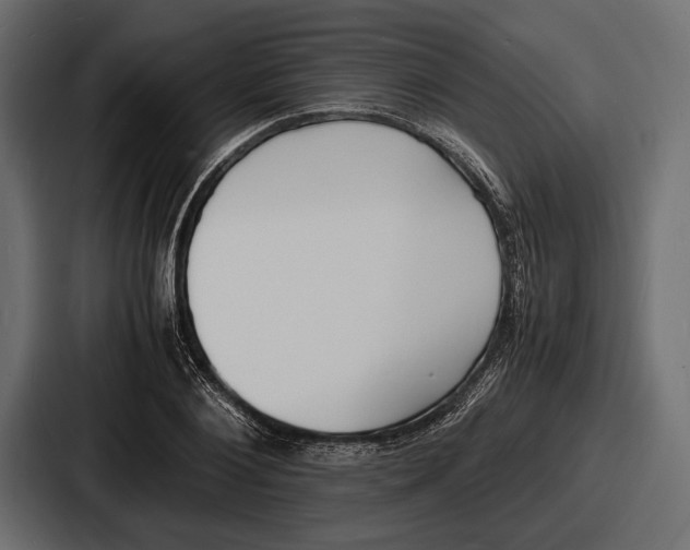 X0000086720884200705111553