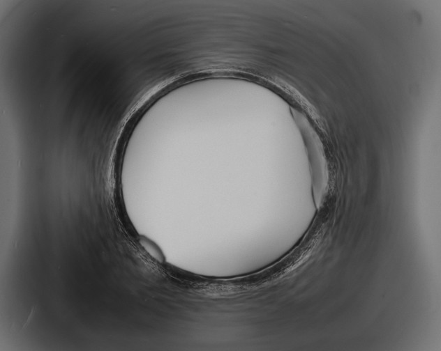 X0000086720885200705111553