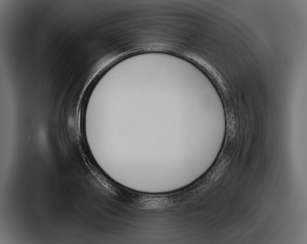 X0000086720886200705111553