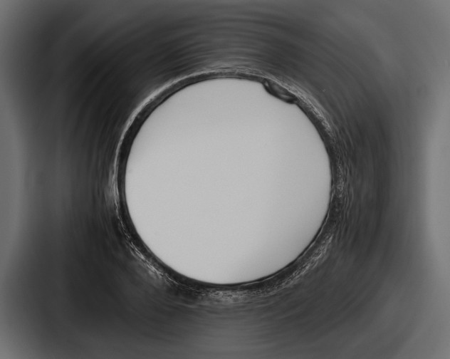 X0000086720888200705111553