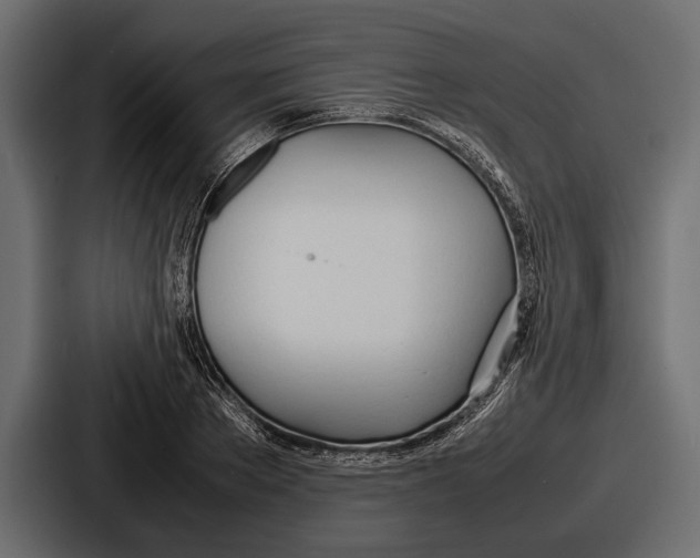 X0000086720889200705111553