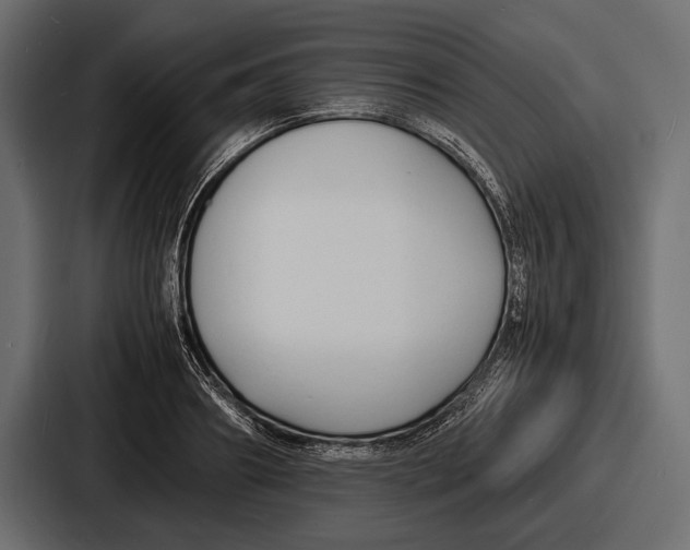 X0000086720890200705111553