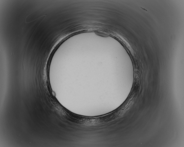 X0000086720891200705111553