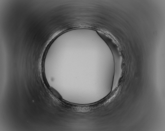 X0000086720893200705111553