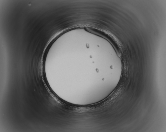 X0000086720894200705111553