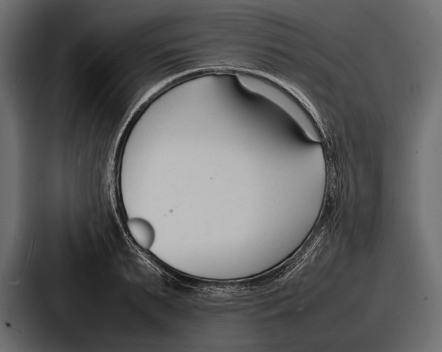 X0000086720895200705111552