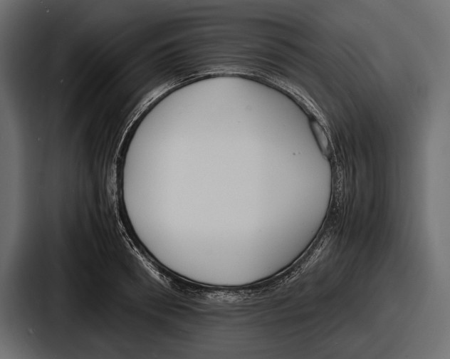 X0000086720898200705111552