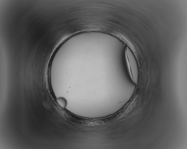 X0000086720899200705111552