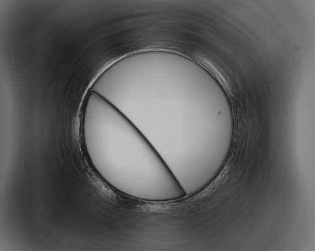 X0000086720900200705111552