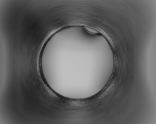 X0000086720901200705111552