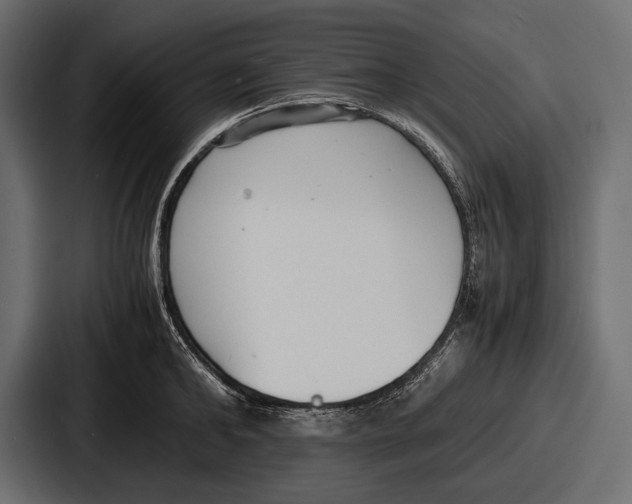 X0000086720902200705111552