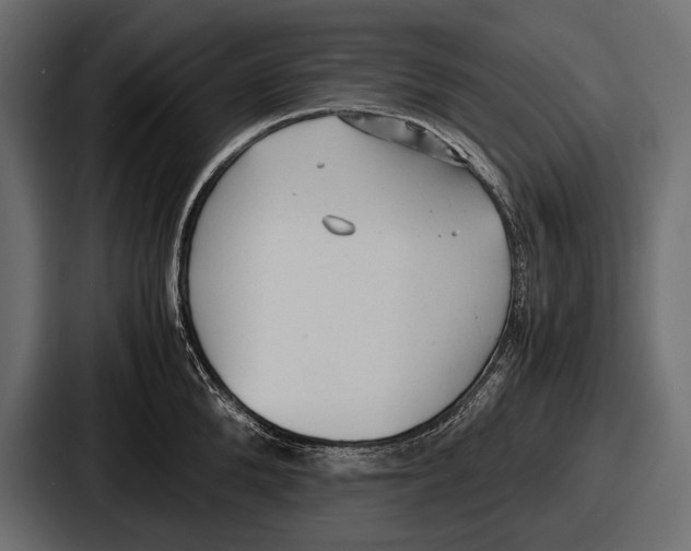 X0000086720904200705111552