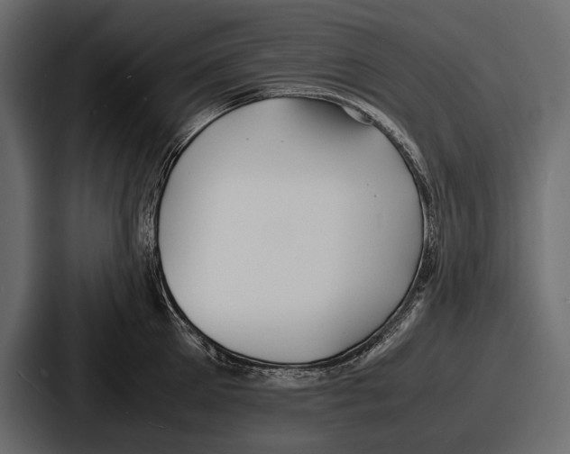 X0000086720905200705111552