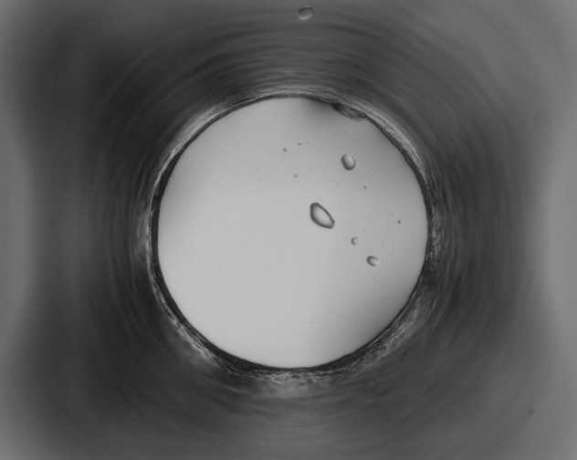 X0000086720906200705111552