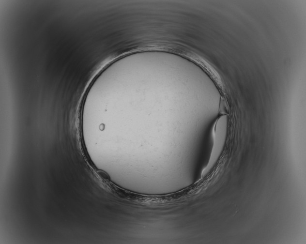 X0000086720907200705111552