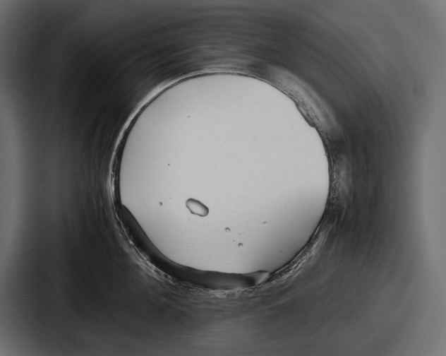 X0000086720908200705111552