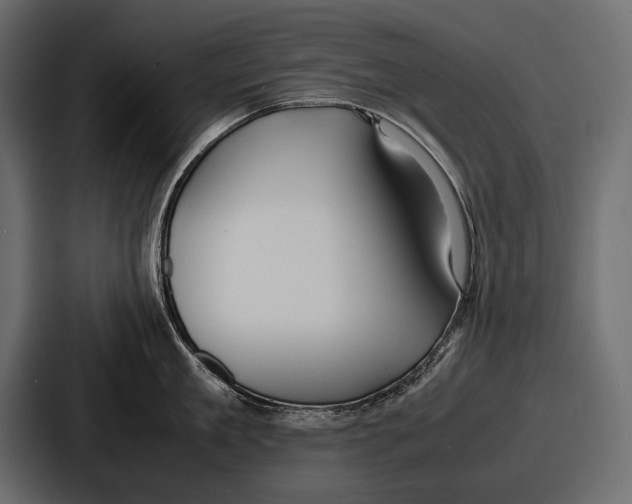 X0000086720909200705111552