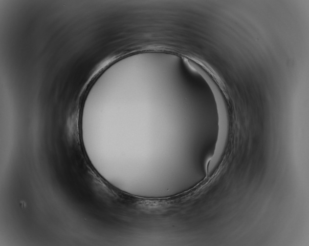 X0000086720910200705111552