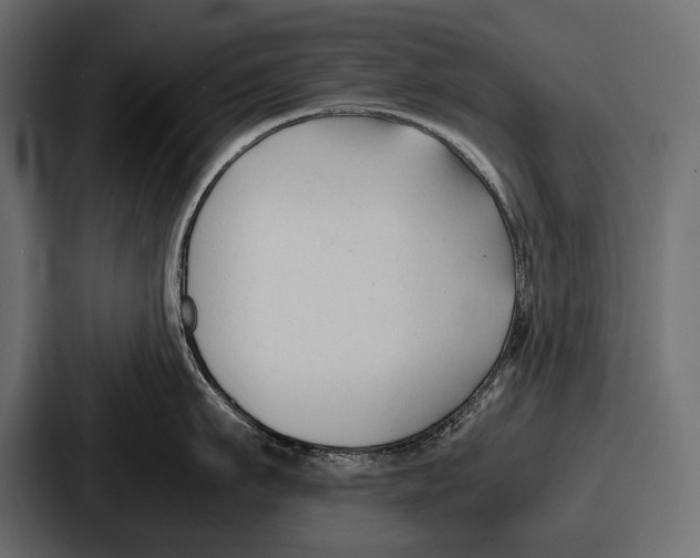 X0000086720911200705111552