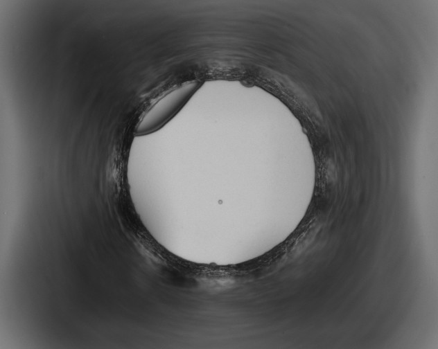 X0000086720914200705111552