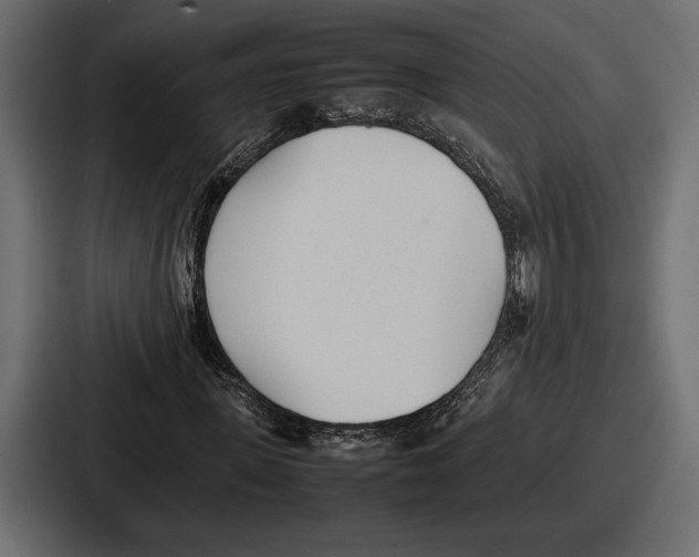 X0000086720915200705111552