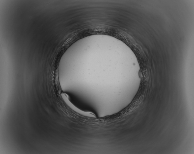 X0000086720916200705111552