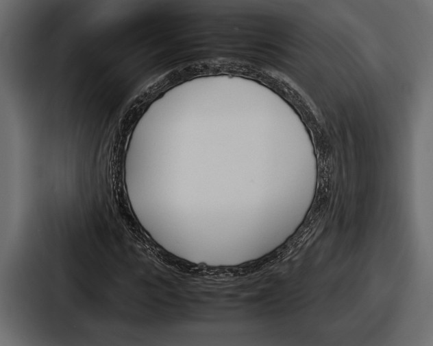 X0000086720919200705111552