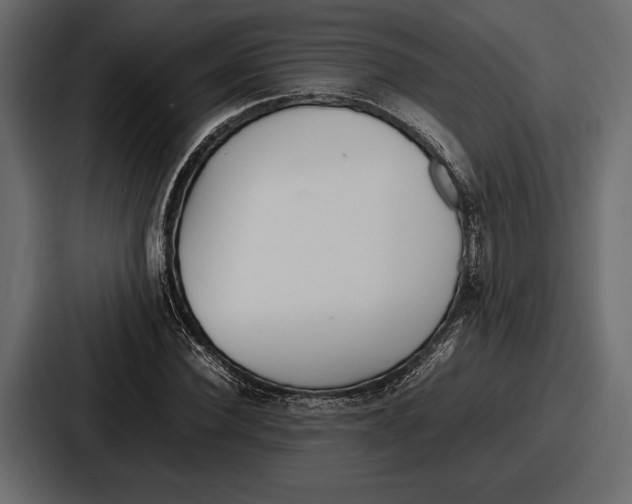 X0000086720924200705111552