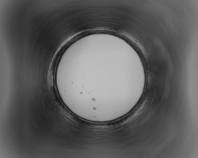 X0000086720925200705111552