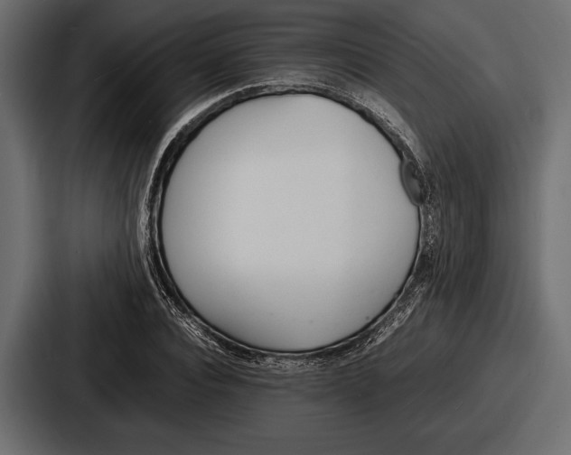 X0000086720928200705111552