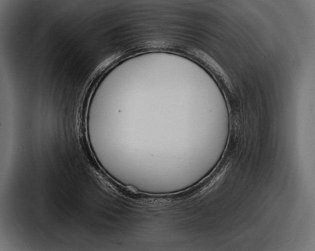 X0000086720930200705111552