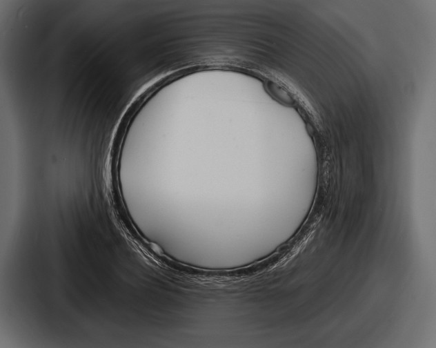 X0000086720932200705111552