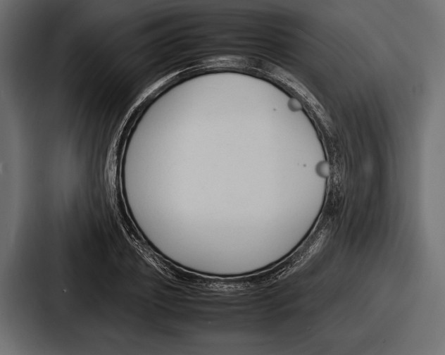 X0000086720933200705111552