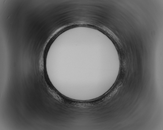 X0000086720934200705111552