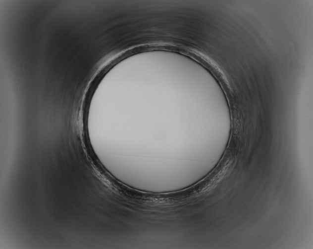 X0000086720935200705111552