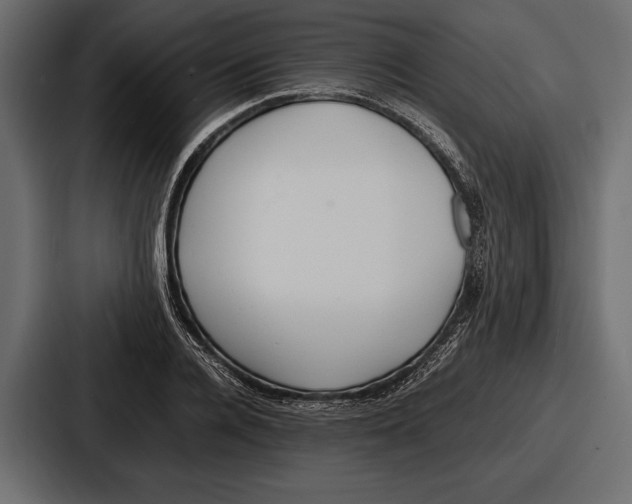 X0000086720936200705111552