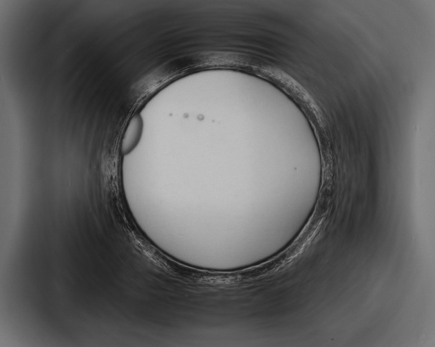 X0000086720937200705111552